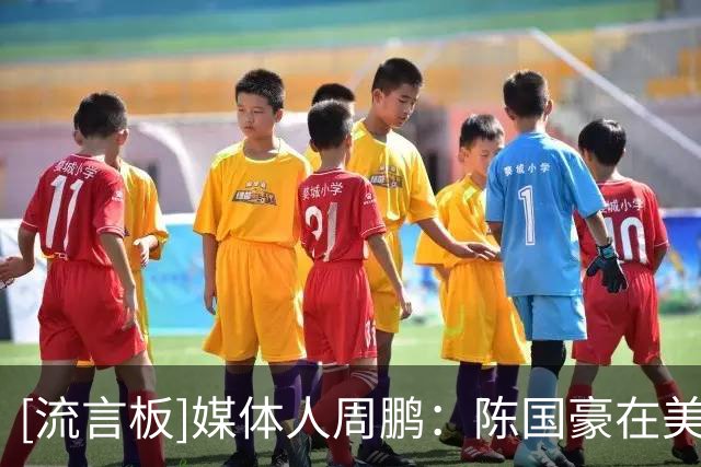 [流言板]媒体人周鹏：陈国豪在美特训，后续将跟试训外援一起比赛